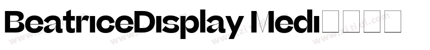 BeatriceDisplay Medi字体转换